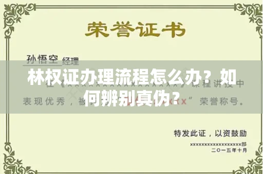 全国林权证办理流程怎么办?如何辨别真伪?