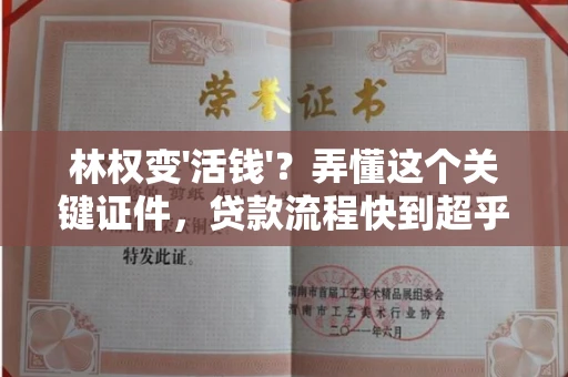 全国林权变'活钱'?弄懂这个关键证件,贷款流程快到超乎想象!