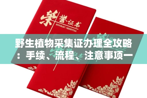 全国野生植物采集证办理全攻略:手续、流程、注意事项一网打尽